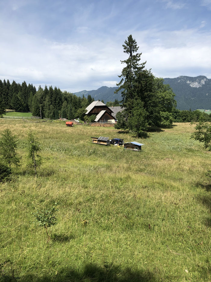 eins_hundsmarhof