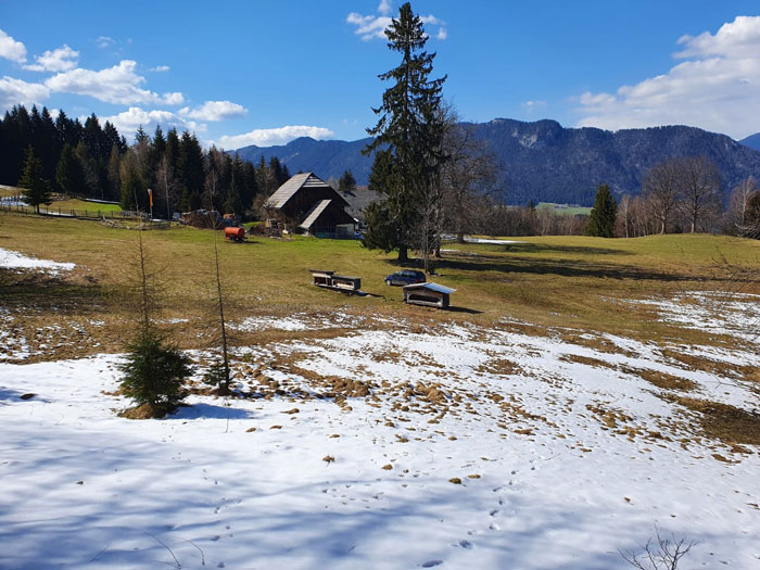 bienen_hunsmarhof